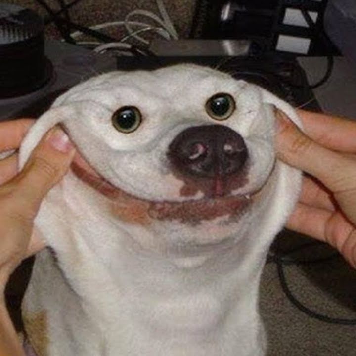Mreezi
