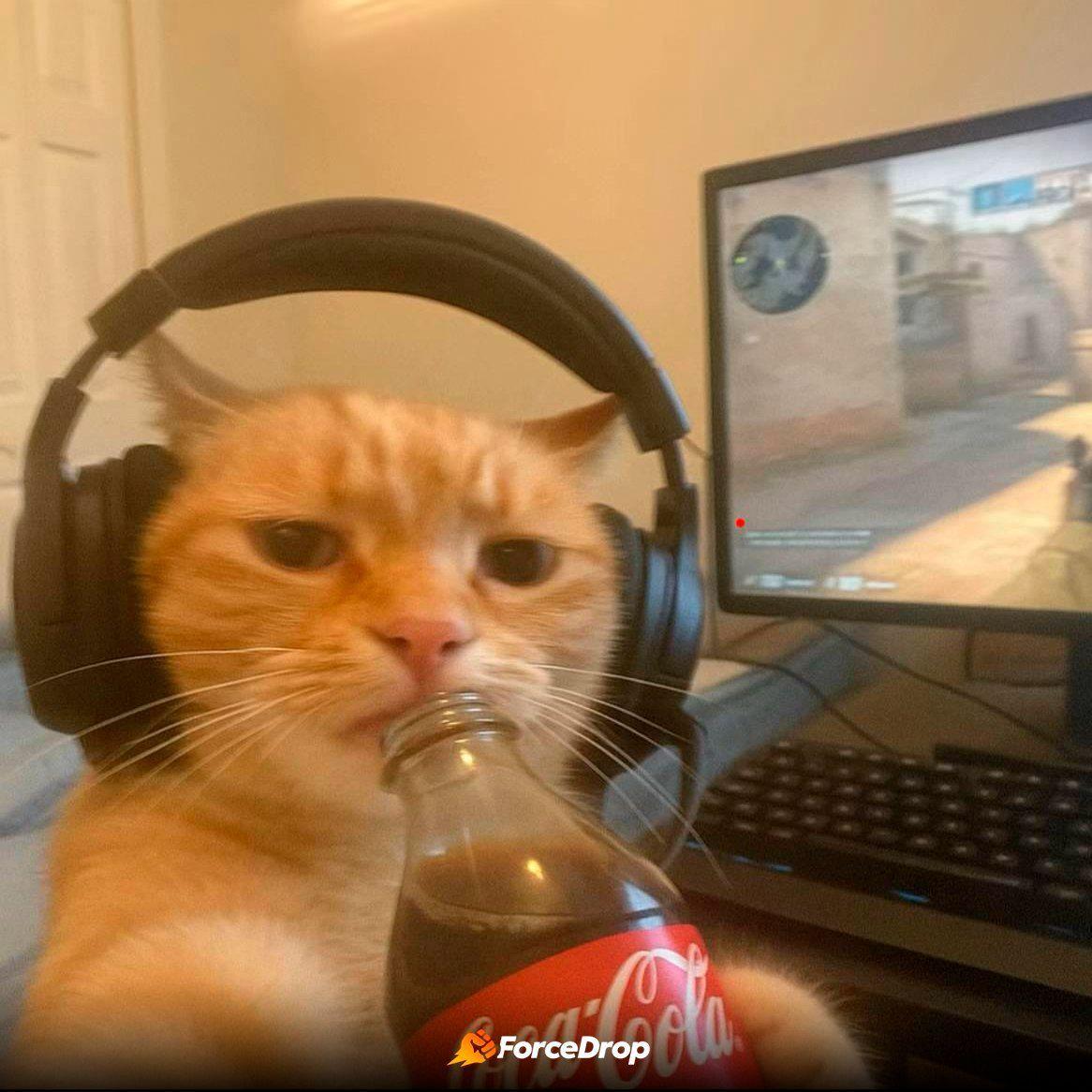 kirchikx