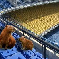 CBostero