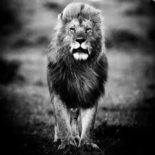 GodModeX1337