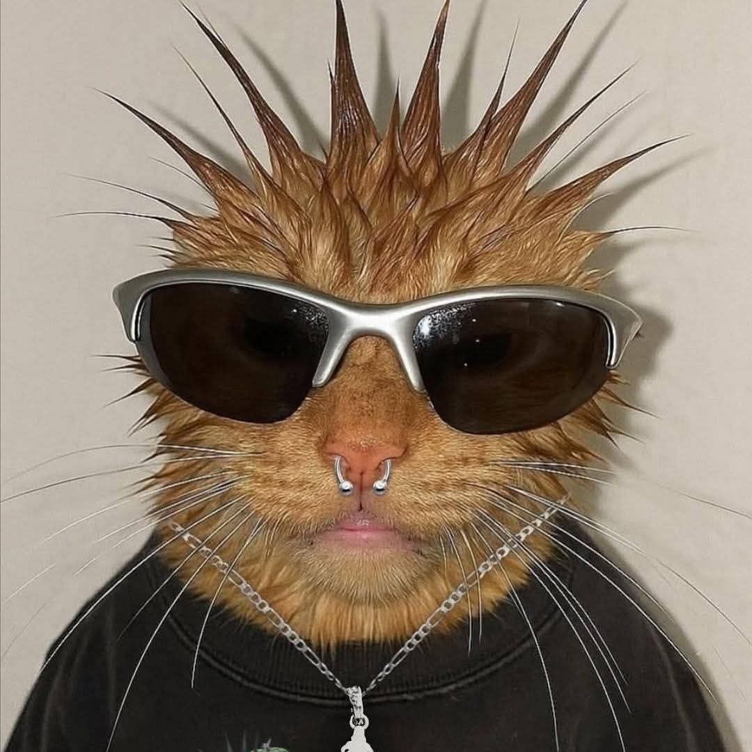 kolbiarz1