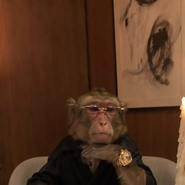 svlv-
