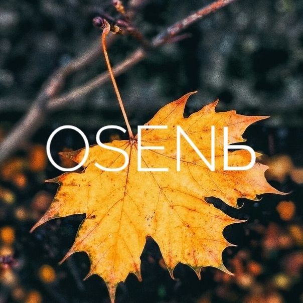 _Osenb_