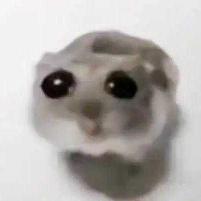 SenisBober avatar
