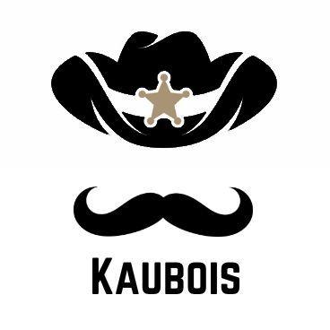 Kaubois