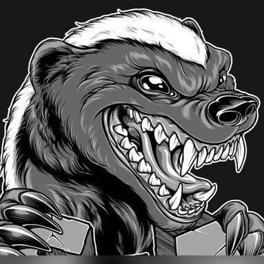 inkasator_ FACEIT avatar