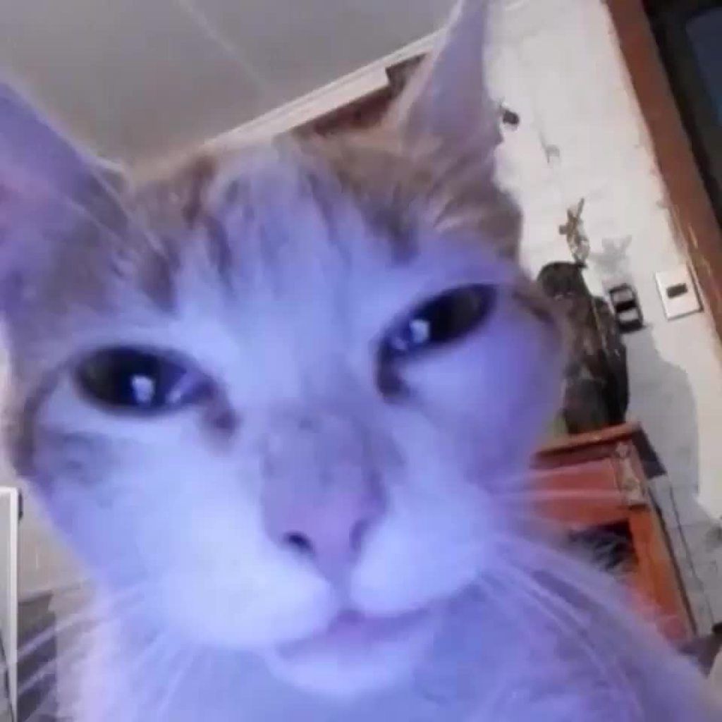 YanproXD