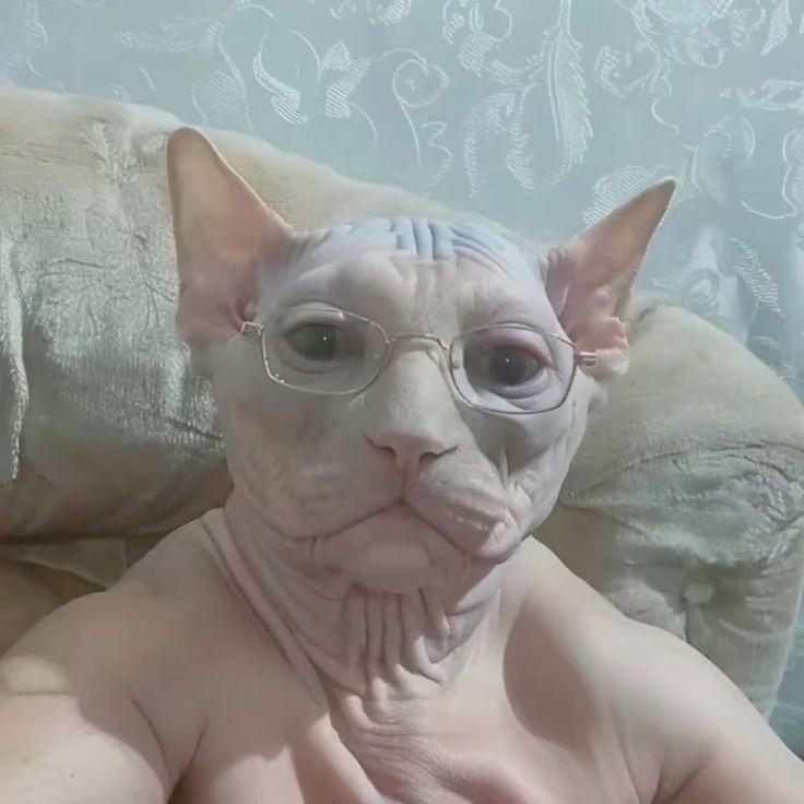 KHULLIKU52 avatar