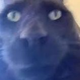 Ecla1r avatar