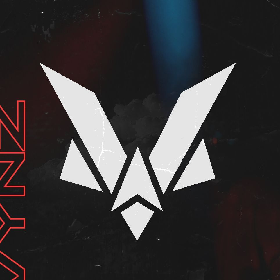 The Vynz