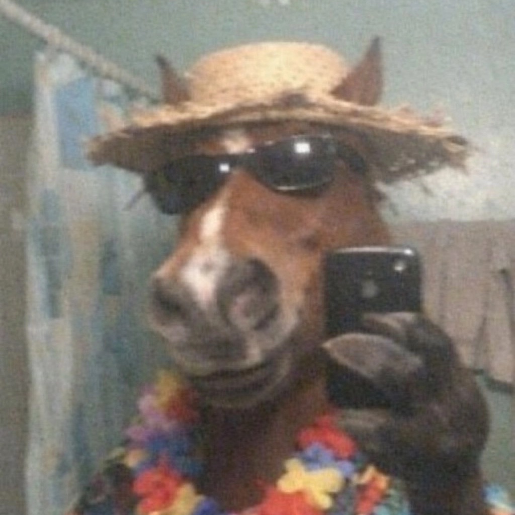 D1M0H FACEIT avatar