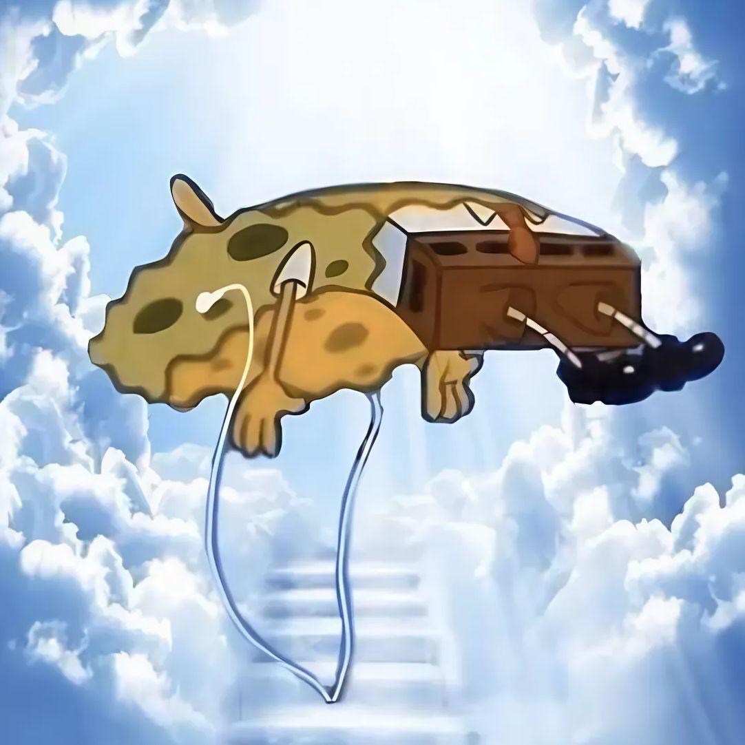 Spongbob1338 avatar