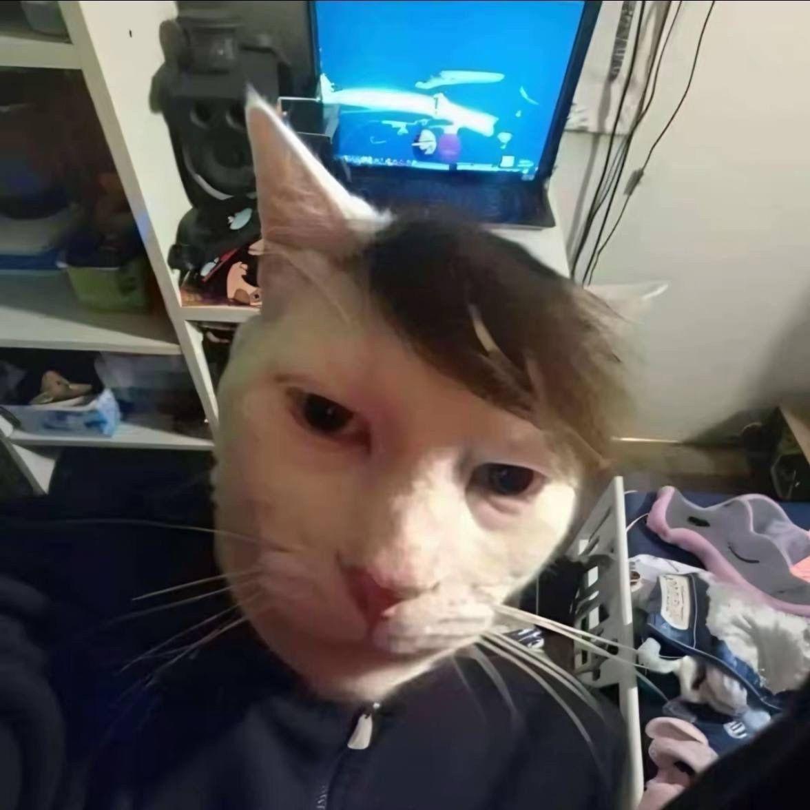 avea_ avatar
