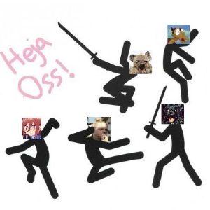 NIVSO