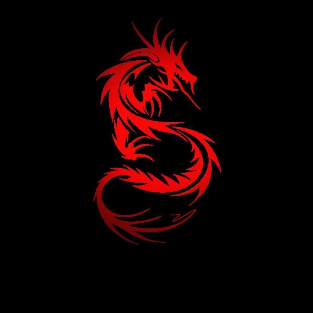 DrHoOly avatar