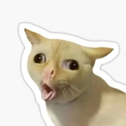 catzig