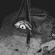 iBr4hem avatar