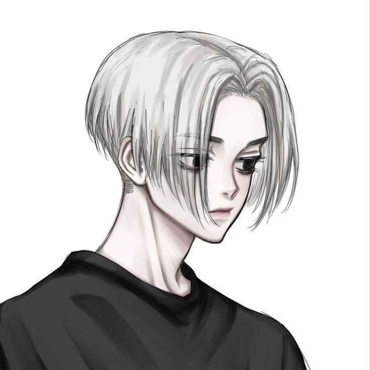 showman__ avatar
