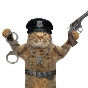 ELO POLICIA
