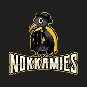 Player Nokkkamies avatar