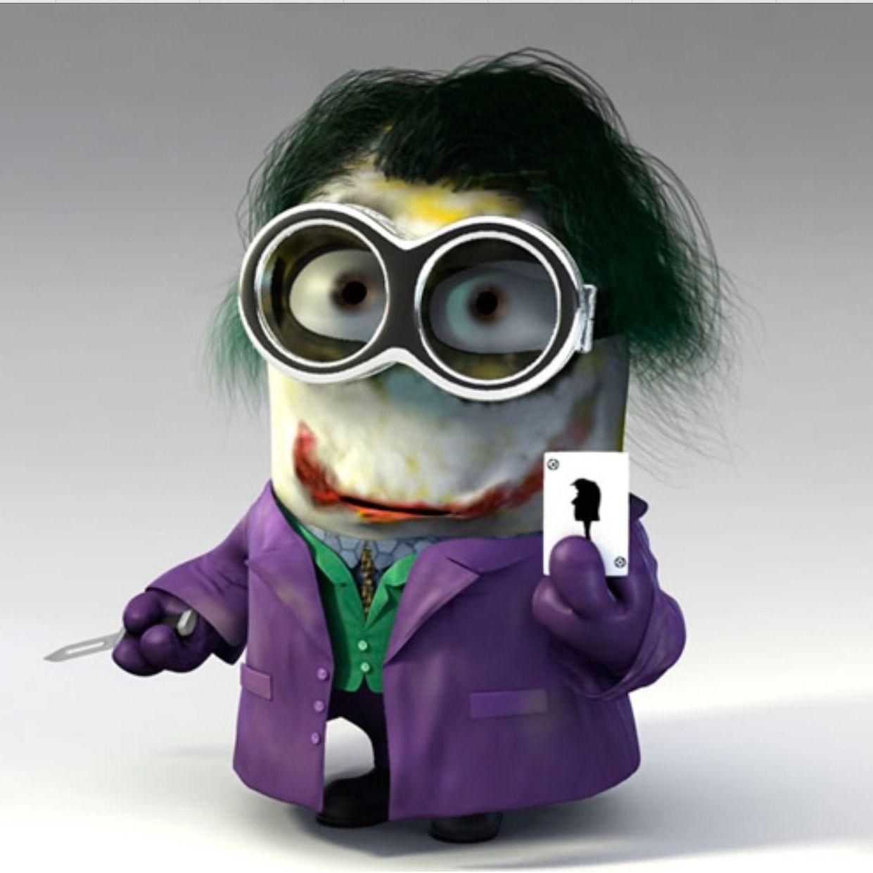 confsedv avatar