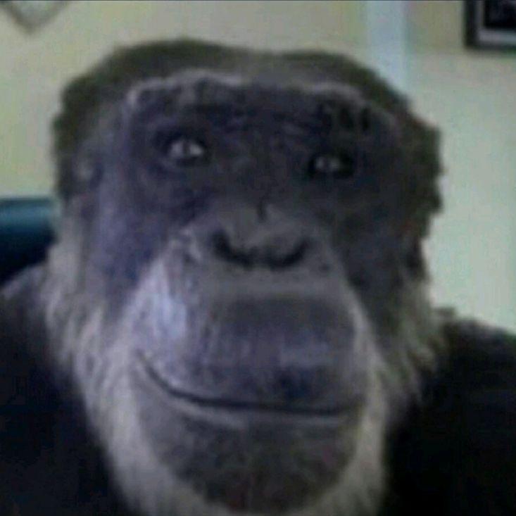 bahok avatar