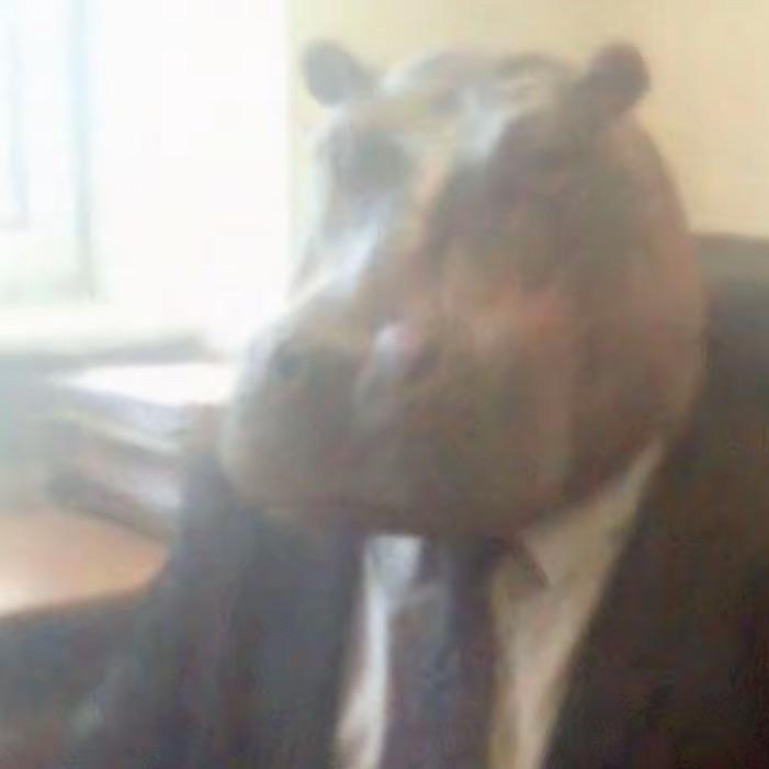coachedron23 avatar