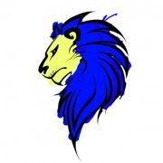 HITEAM CS2