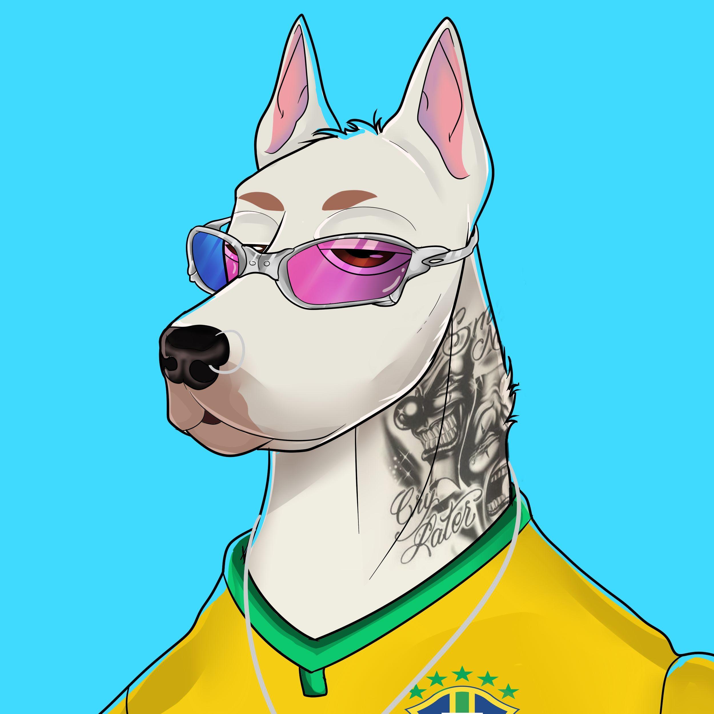 Cachorr1n avatar