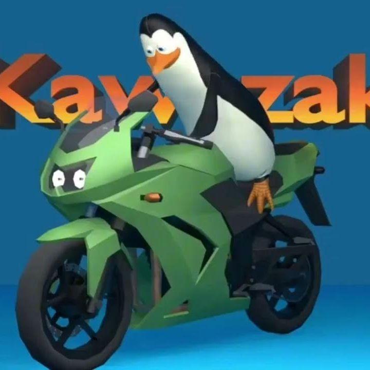 kawasaky0