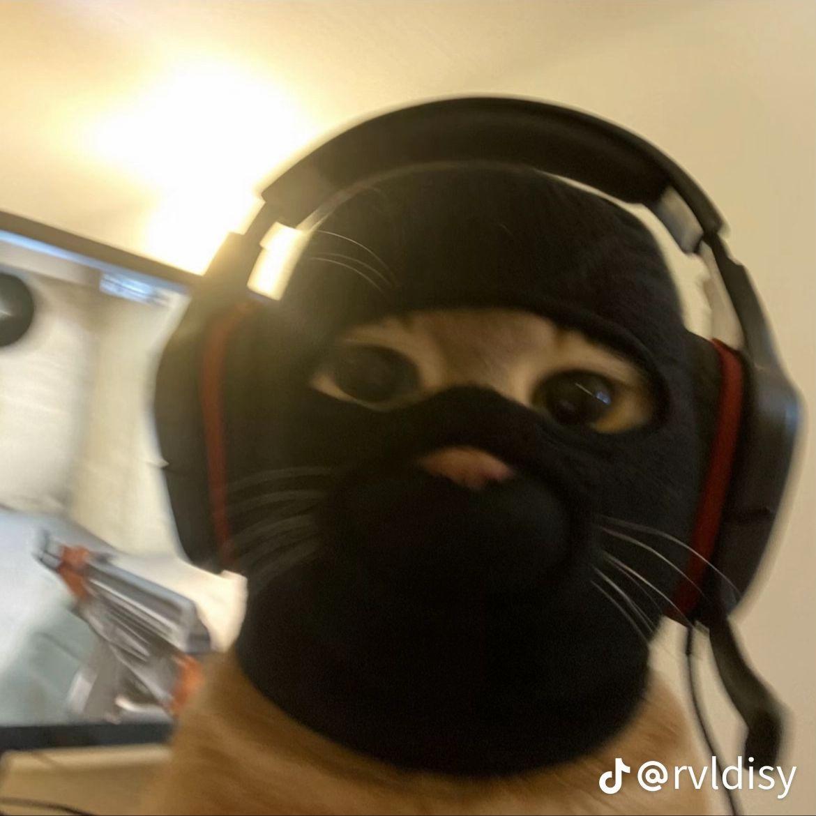 Faceit avatar