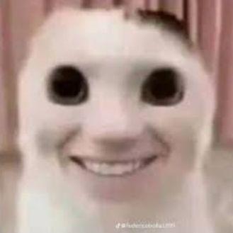 Bomby- avatar