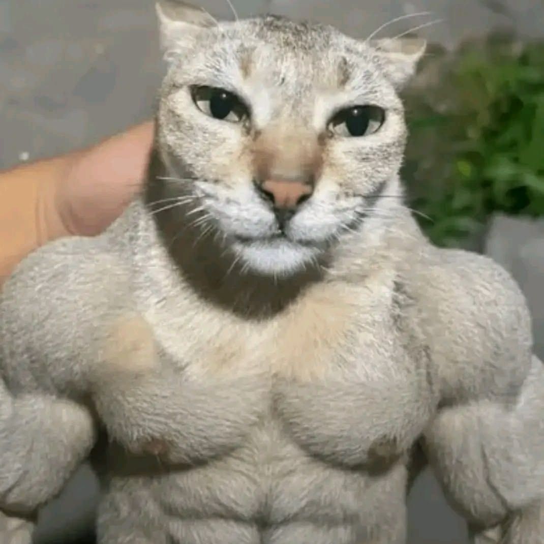 G4DK1Y_k0T