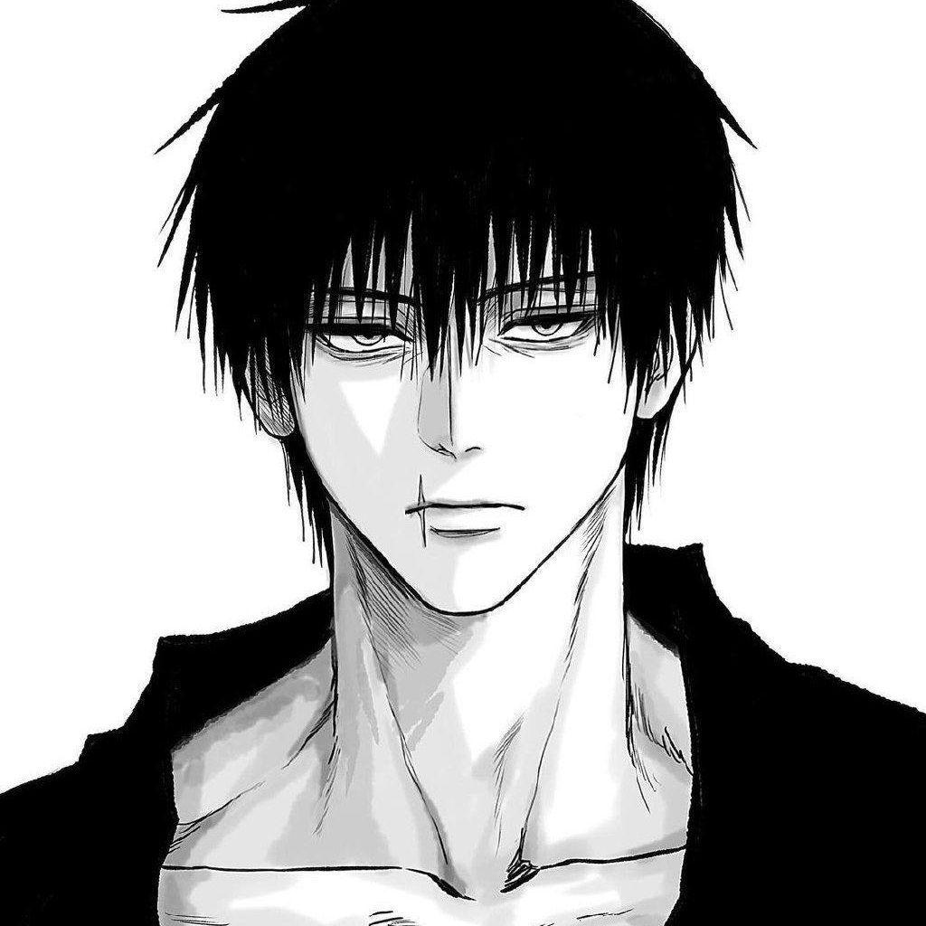 svyatoslav avatar