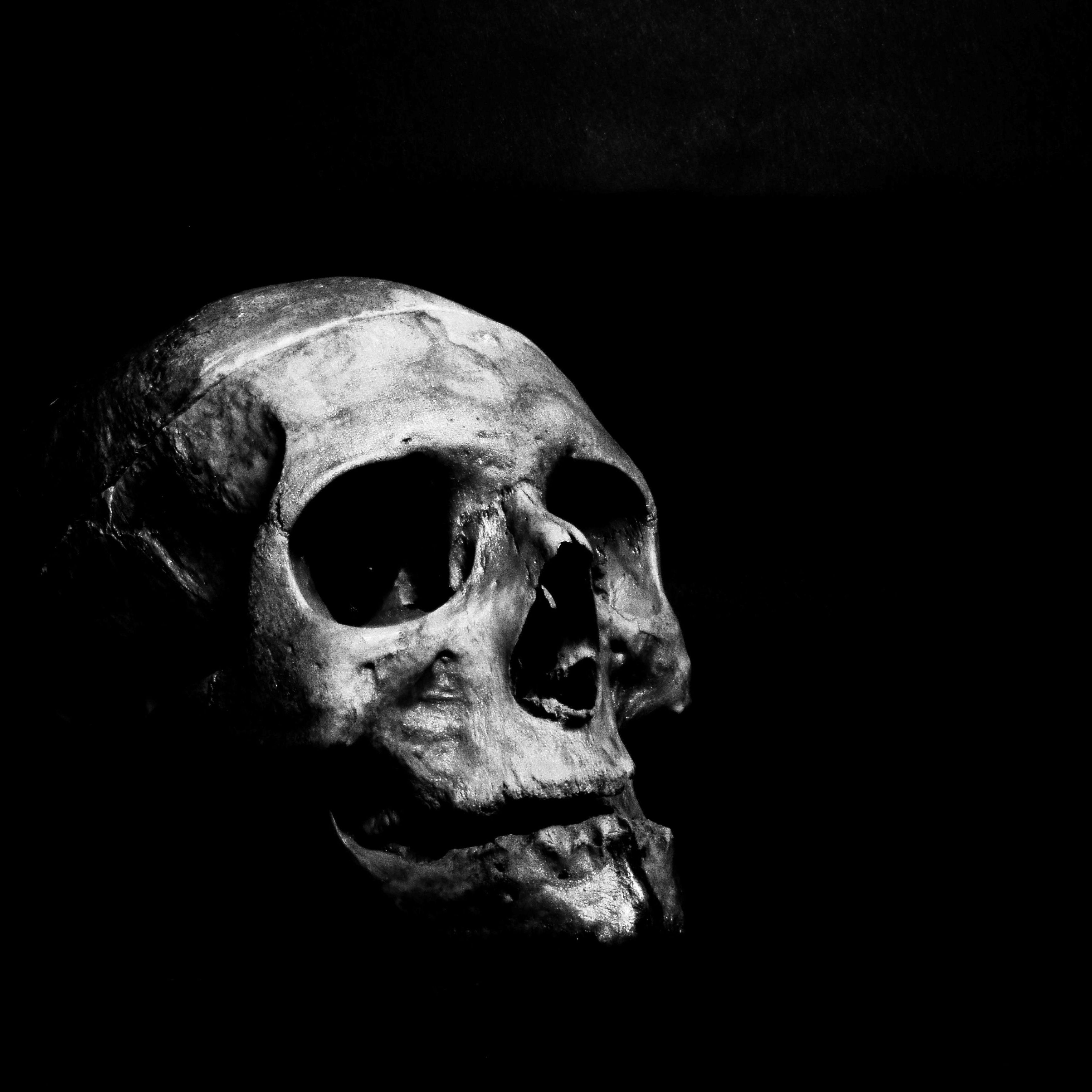 InFlames9