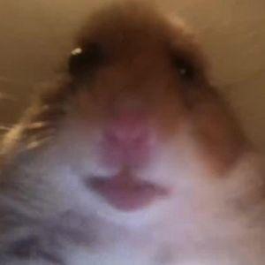 Niqw1xxx avatar