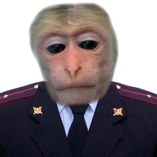 DON_GRIZZLY avatar