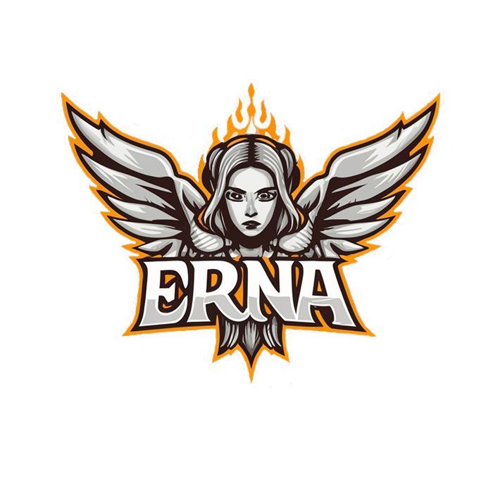 Team ERNA