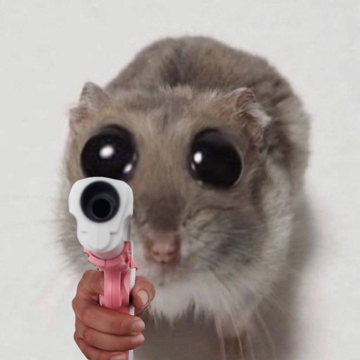 dinjitozi avatar