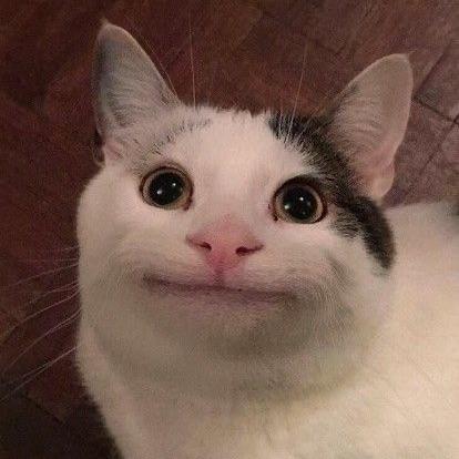 deoxximaa avatar