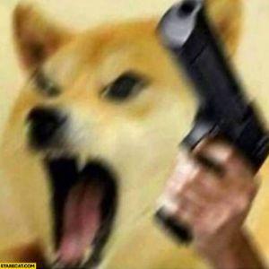 DoggoisAngry avatar