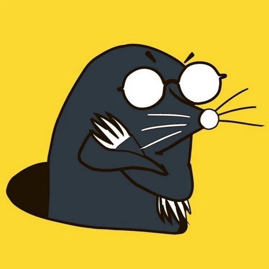 team_Krotyara