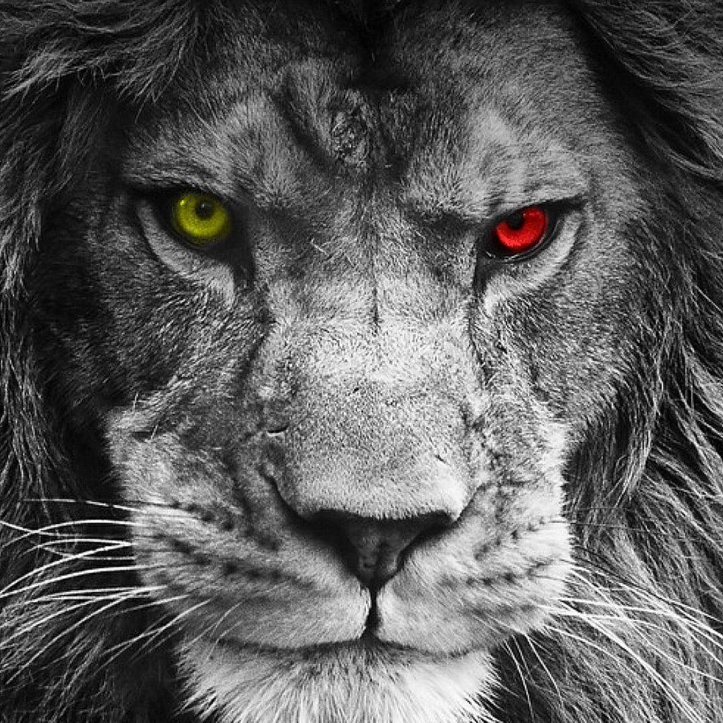LioN18 avatar