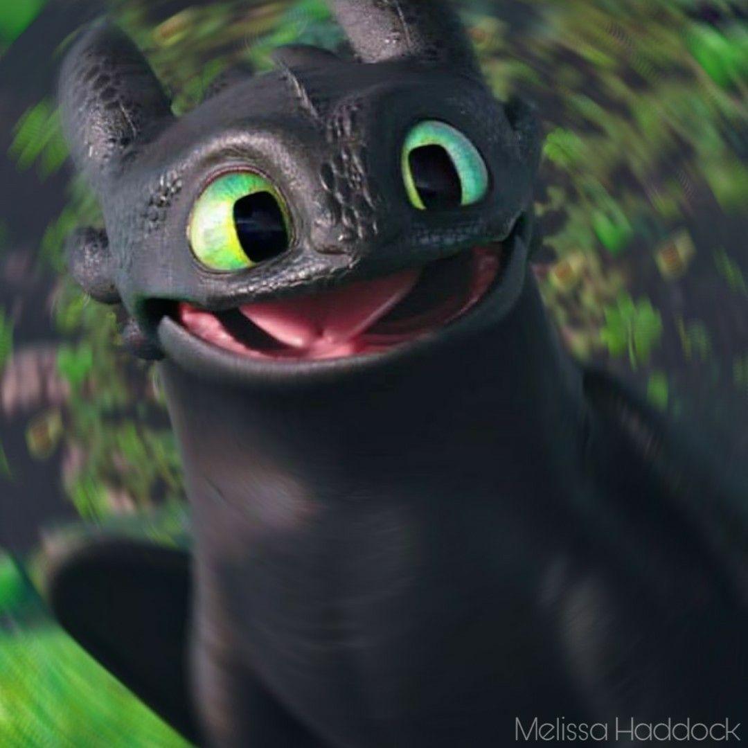 Toothless01 avatar