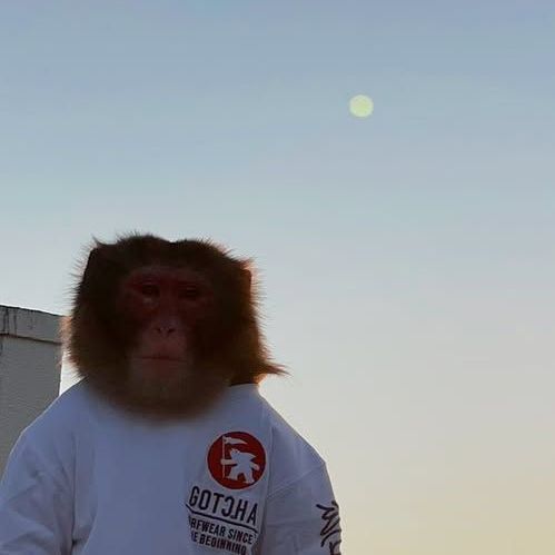 swaggychblya