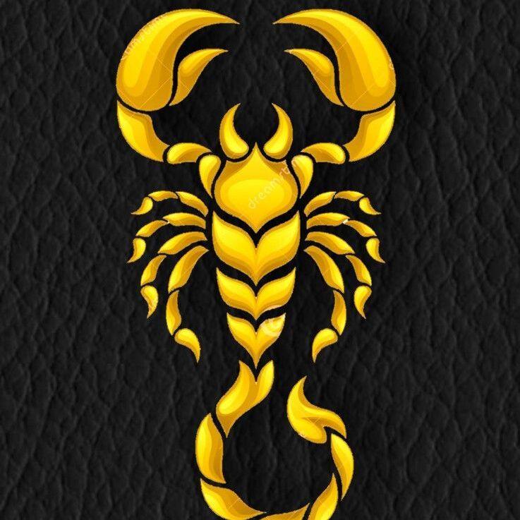 Player Scorpion6407 avatar