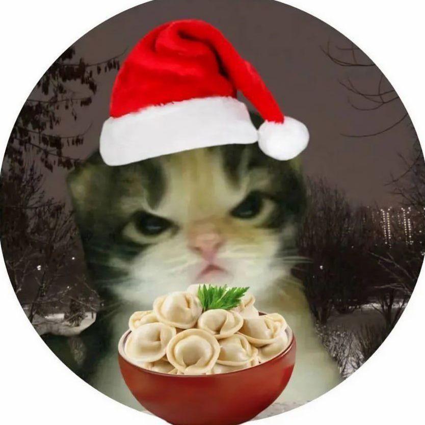 GrumpyICat avatar