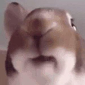 EmperorStyle avatar