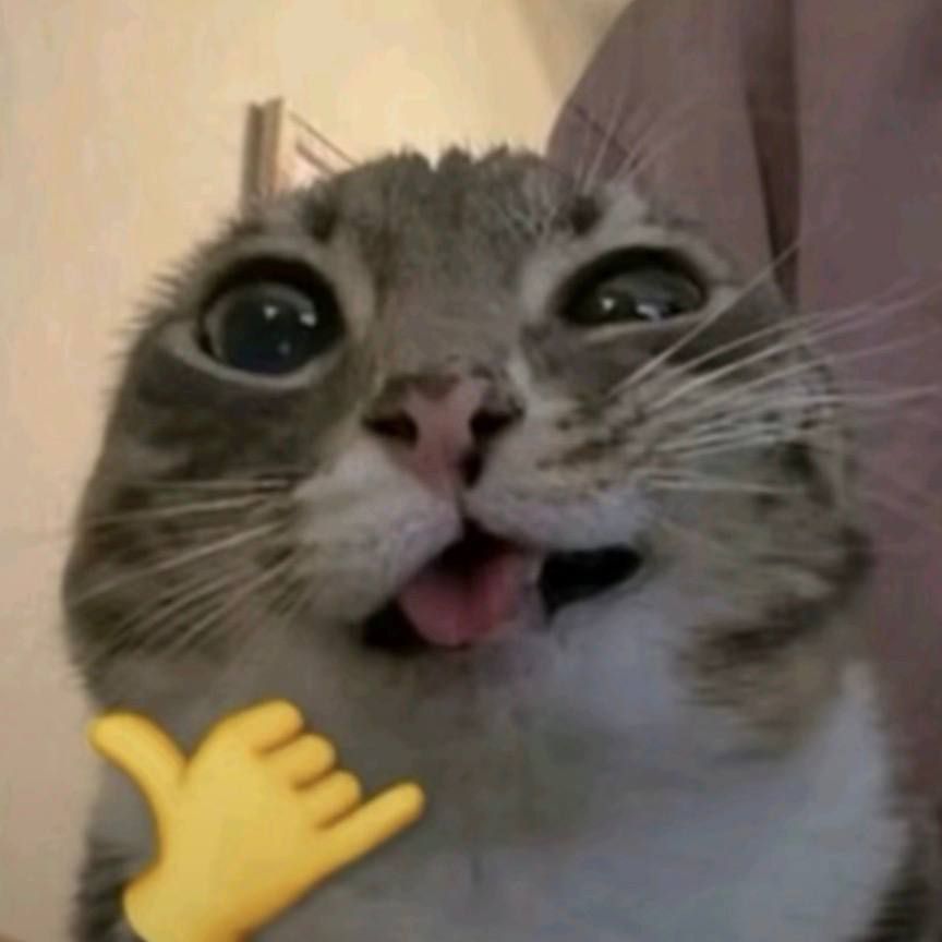 ShidoHzn