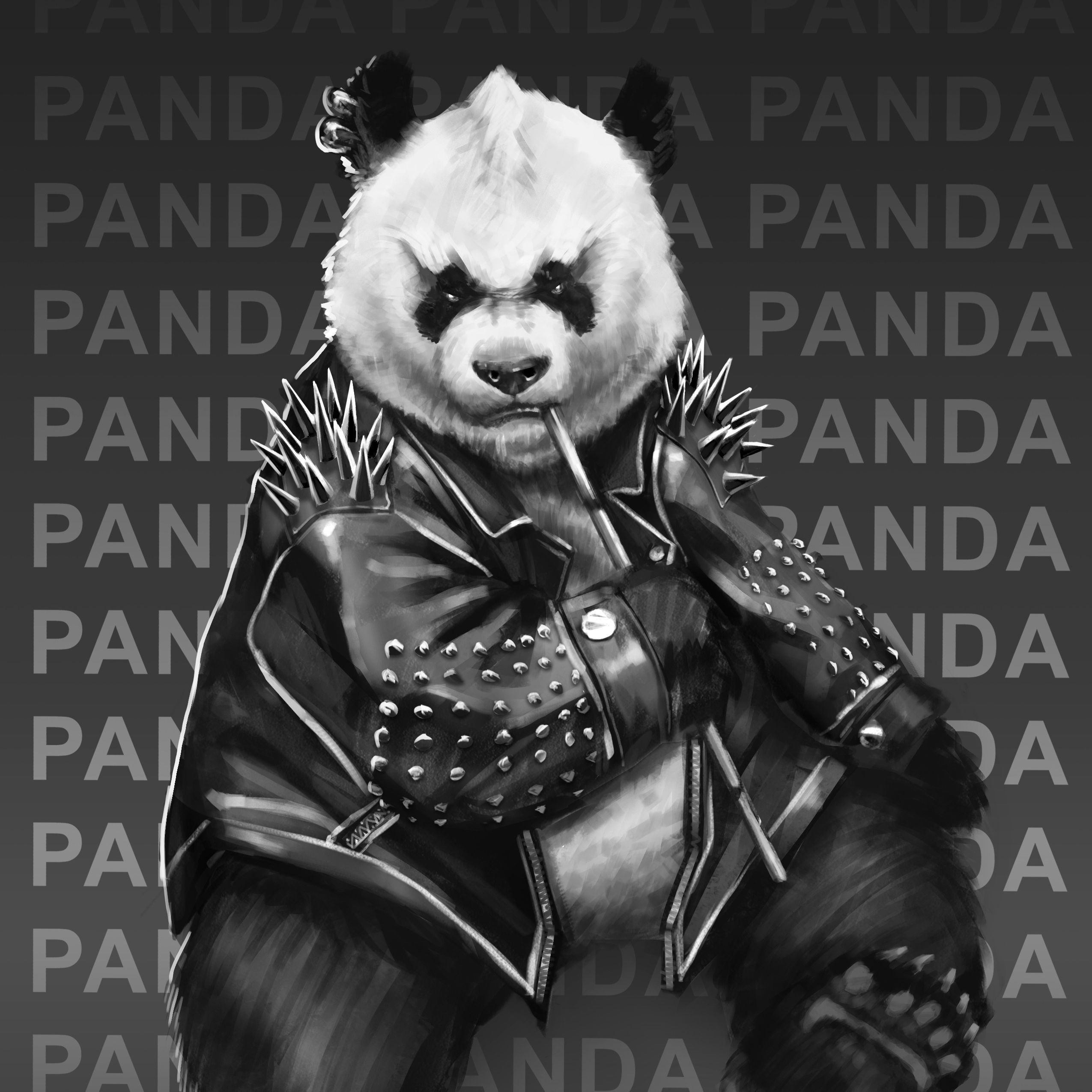 RACiiSTPaNDA